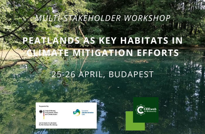 A tőzeglápok, mint a klímaváltozás mérséklésének kulcsszereplői / Peatlands as key habitats in climate mitigation efforts