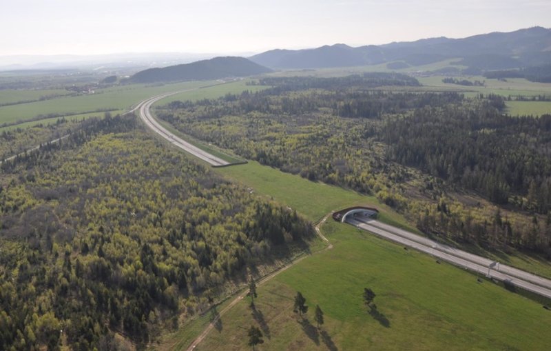 Ecological connectivity: best practices in Europe