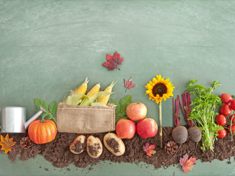 Fotóversenyt hirdet a CEEweb