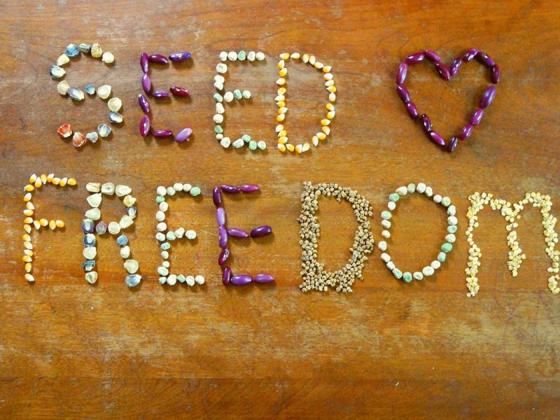 Raise our forks for diversity!