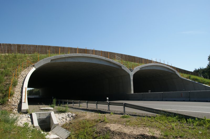 SaveGREEN - Funding Green Infrastructure (at all costs)