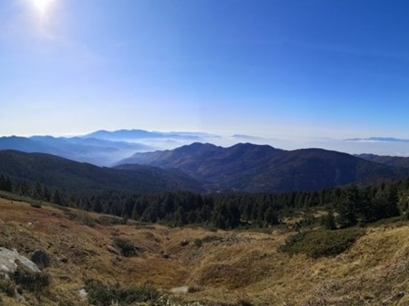 Monitoring Time in Pirin!