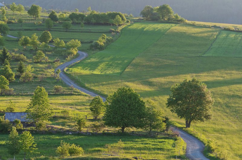 The Power of Nature: An Introduction to Green Infrastructure