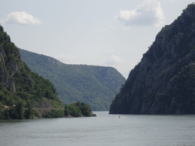 World Fish Migration Day is coming soon! / Hamarosan itt a halak vándorlásának világnapja!