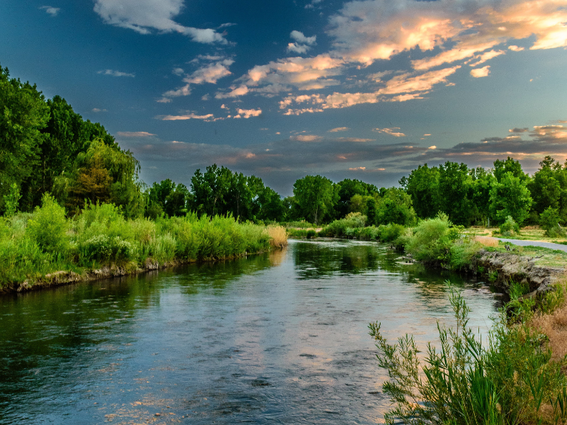 Complex riparian zones can help resist Invasive Alien Plant Species colonisation
