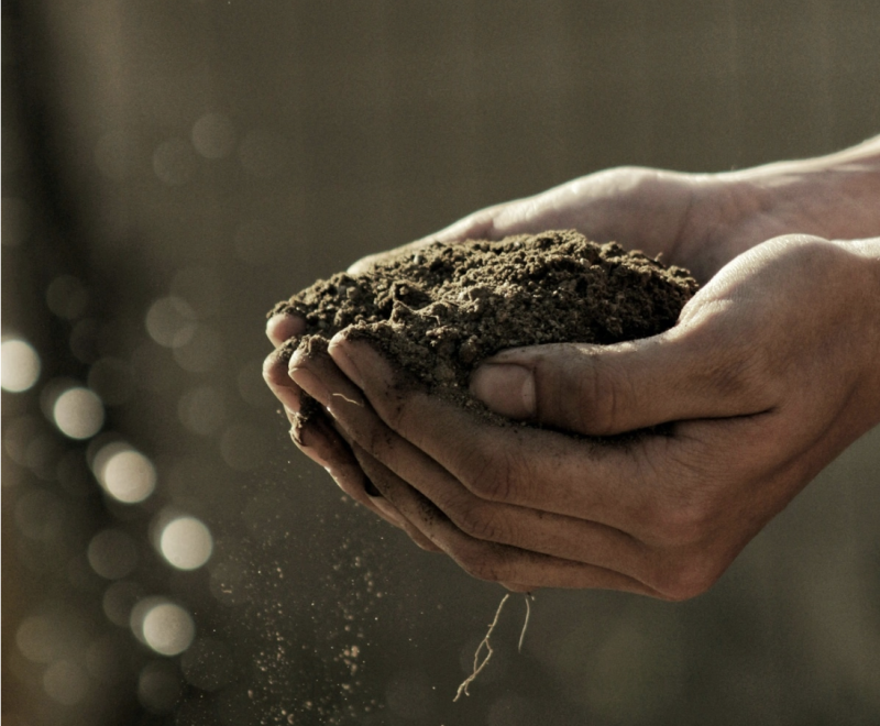 Can we achieve soil health by 2050?
