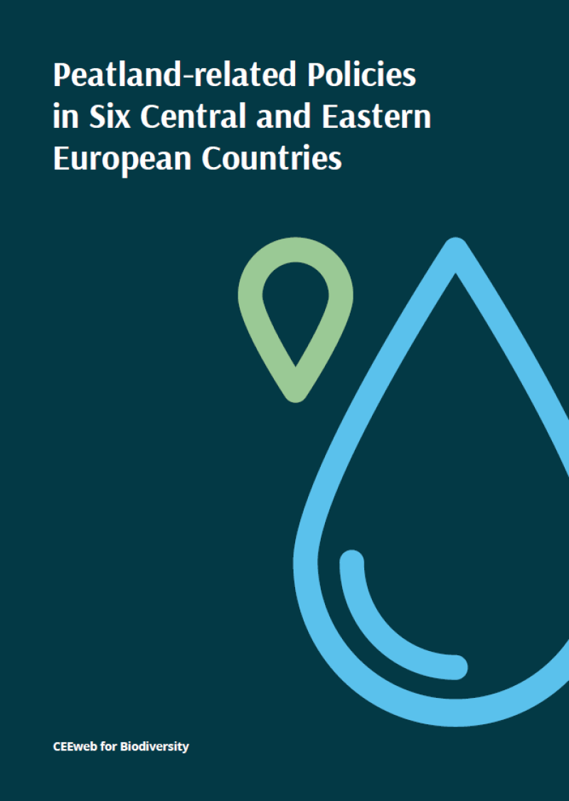 Peatland Policy Assessment for CEE countries published