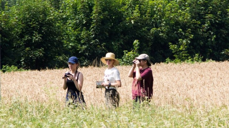 Exploring Citizen Science: Engaging the Public in Scientific Research