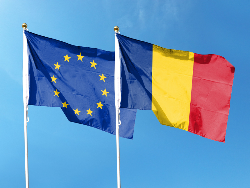 NGOs in Romania are calling for more ambitious climate targets and a more coherent approach to climate policy
