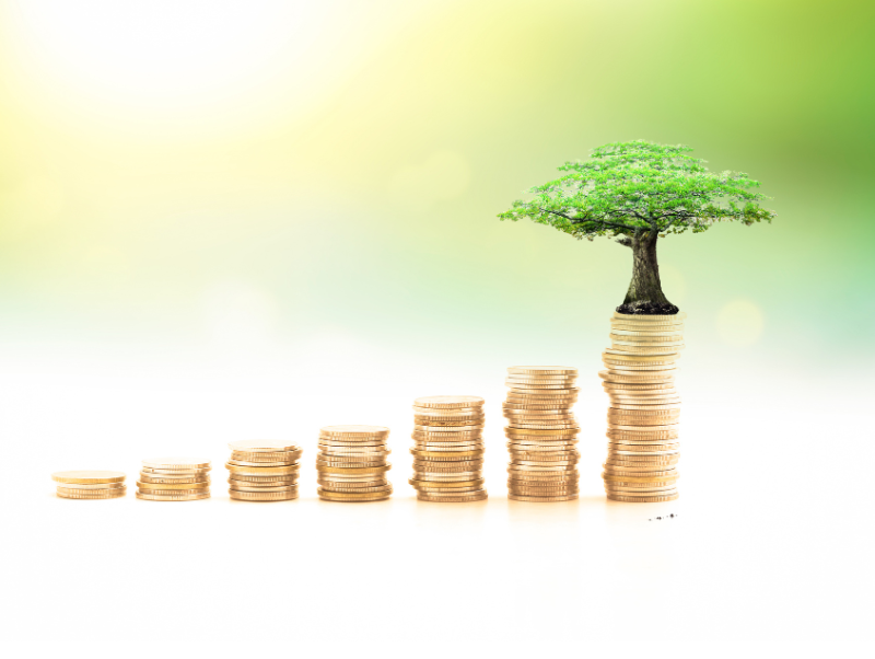 Webinar: Efficient Allocating of EU Funds in CEE