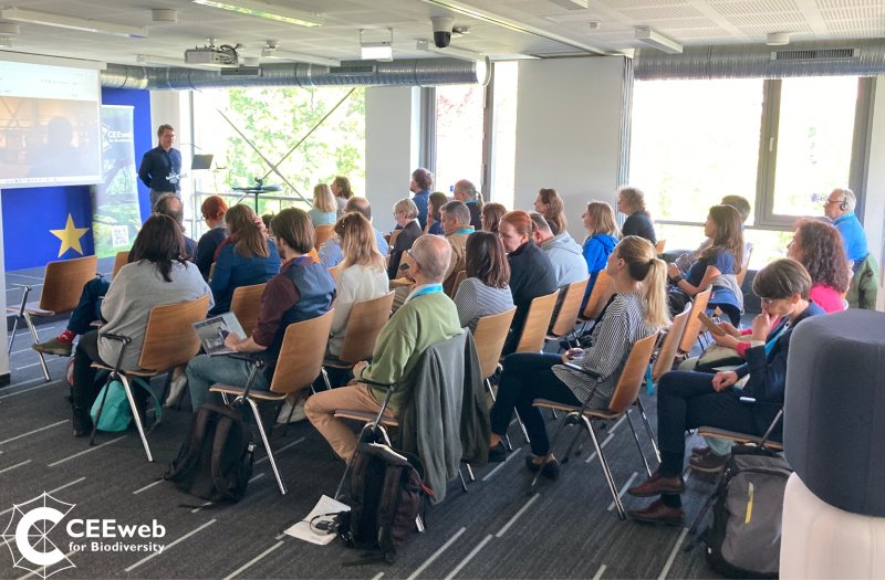 A road trip to peatland strategies – Insights from the peatland workshop in Budapest