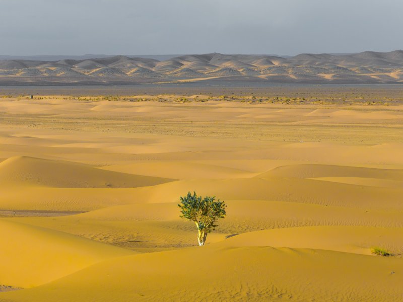 To Prepare for the Unexpected