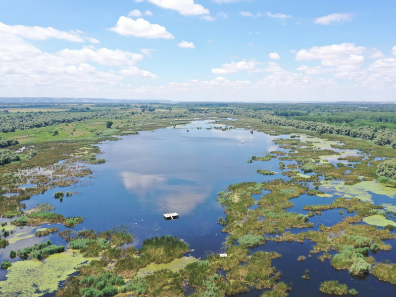 Wetland Restoration in Persina, Bulgaria