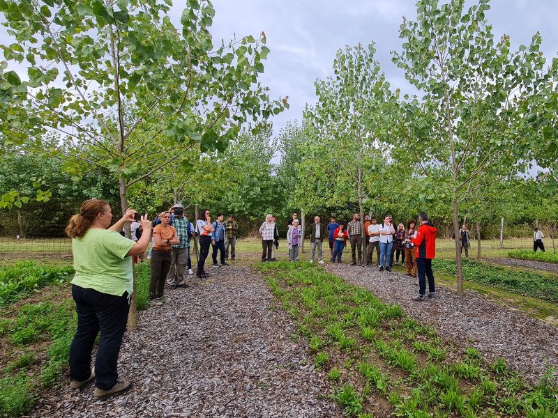 Good practices in agroforestry - field demonstration day