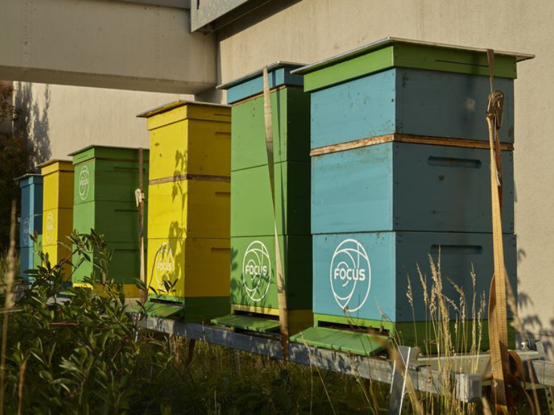 Agricultural land and green spaces with ecological education in Bydgoszcz