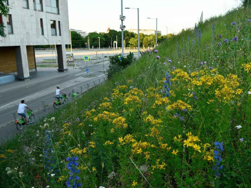How to run an extensive grassland management programme in a metropolis?