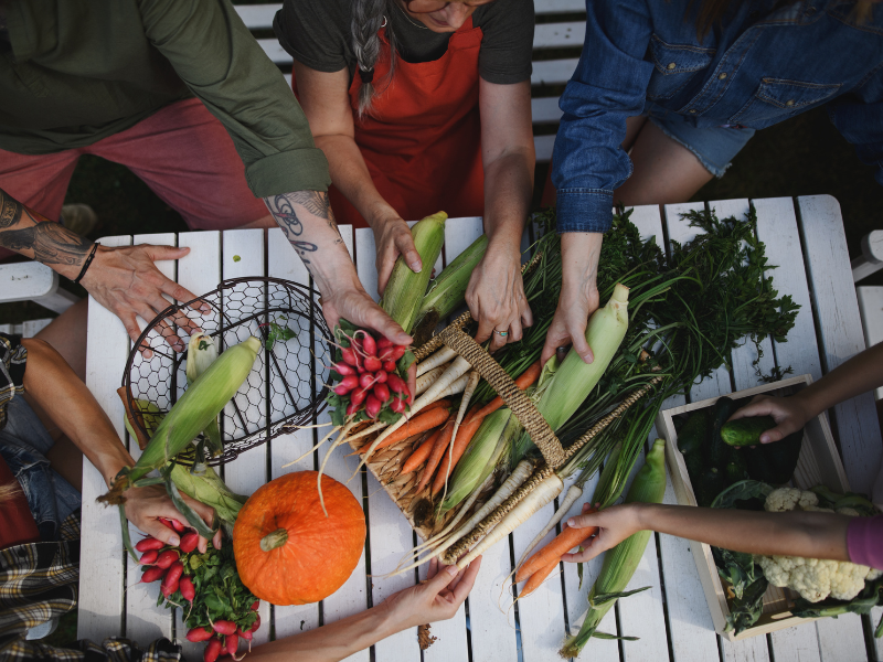The Central and Eastern European Perspective of Food Sovereignty