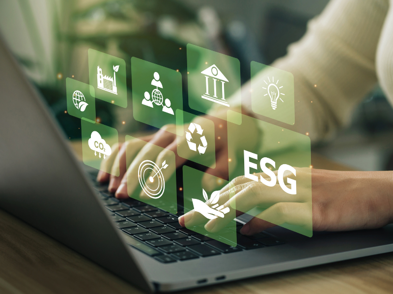 Key principles and strategies for successful EU-funded climate projects in CEE: Insights from the EUKI Academy Webinar