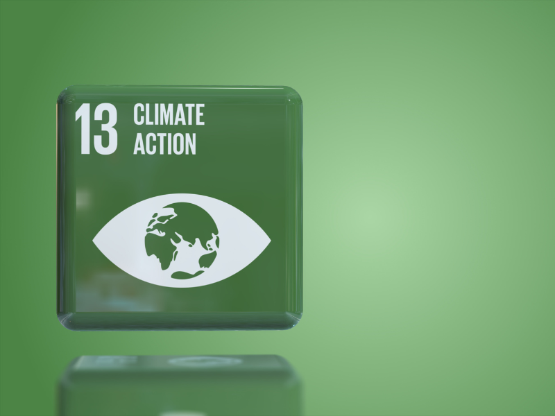 Uniting for Climate Action: European Stakeholders Join Forces to Address DNSH Principle Challenges