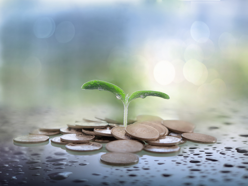 Enhancing REPowerEU Consultation Practices in CEE