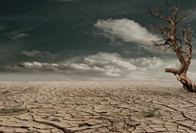 The age of Climate Change requires resilient agroecosystems