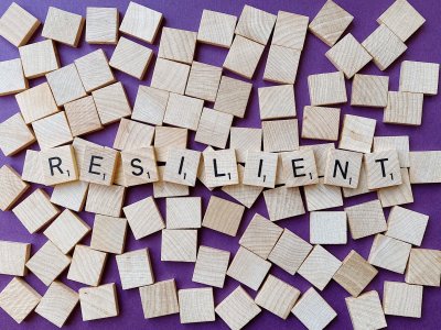 Measuring Resilience
