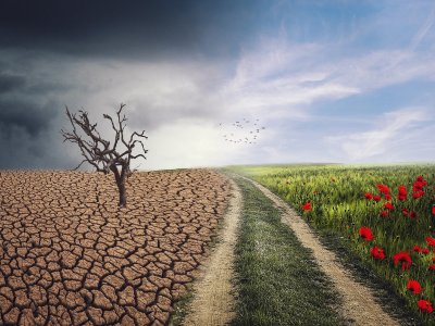 Variability: The X Factor