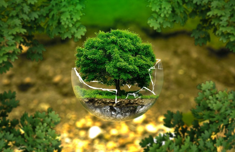 The Good Earth