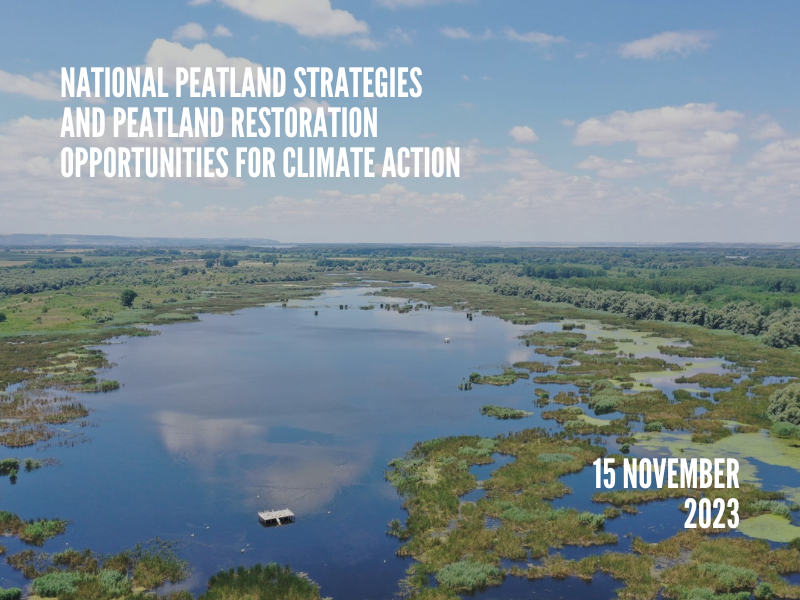 A growing momentum for peatland conservation and restoration