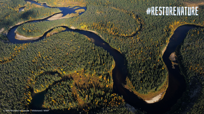 Join us to #RestoreNature!