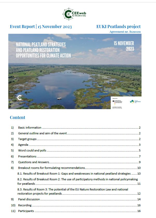 National peatland strategies and peatland restoration opportunities for climate action - Event report