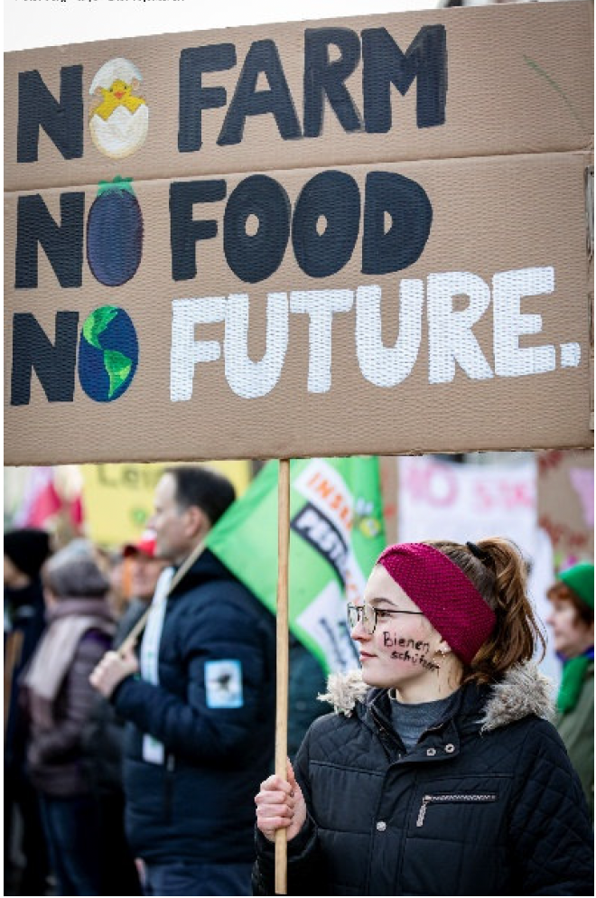 Call for Participation – Join the Reboot Youth Council  - Application Form