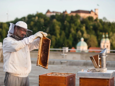 Ljubljana, the Most Bee-Friendly Municipality