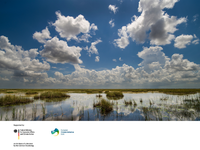 Building the European Peatlands Initiative: A Strong Alliance for Peatland Climate Protection in Europe