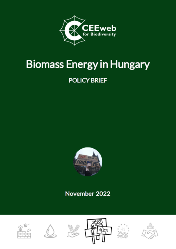 Biomass Energy in Hungary