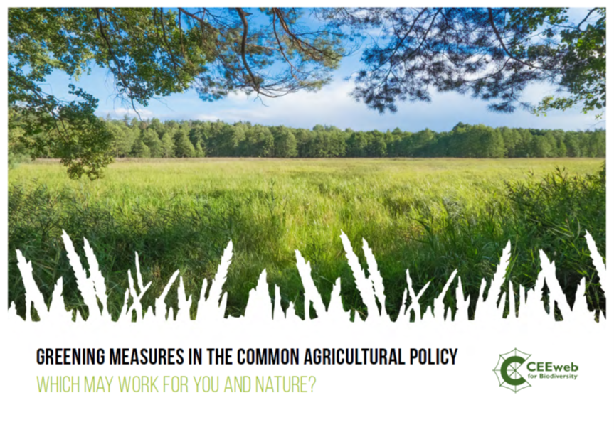 Greening Measures in the Common Agricultural Policy
