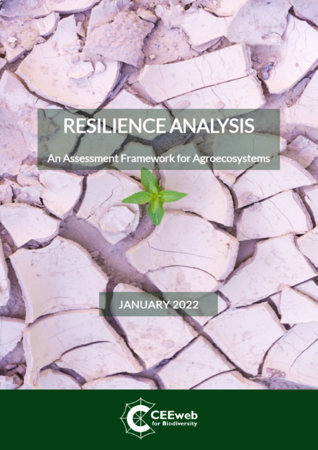 Resilience Analysis