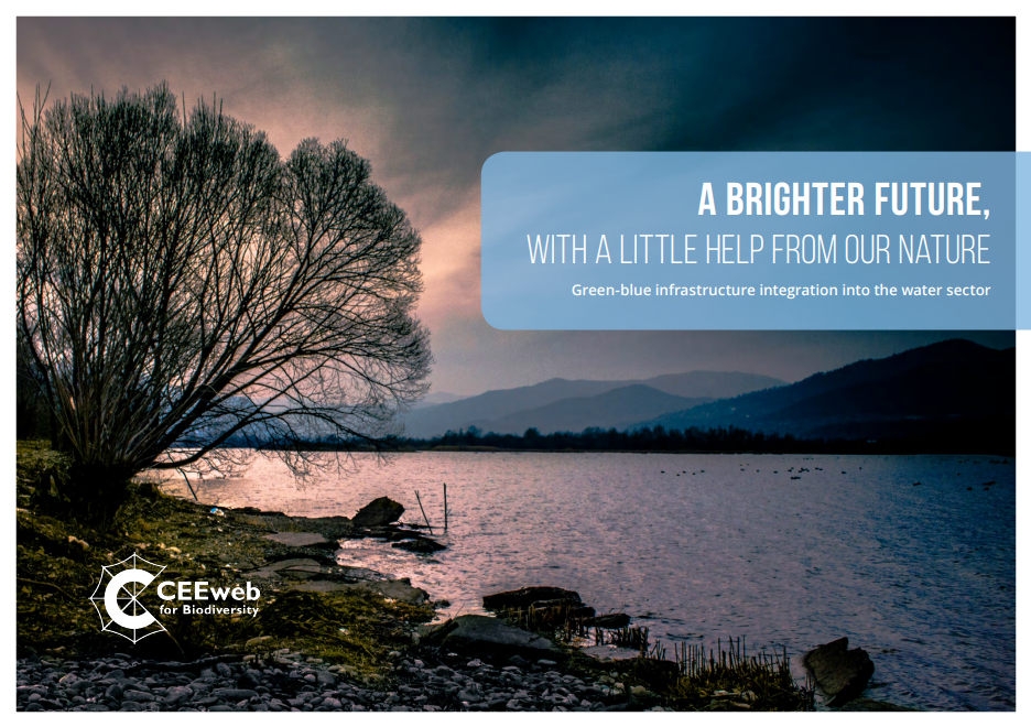 A Brighter Future, with a little help from our Nature
