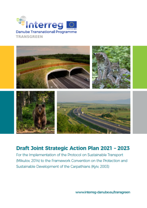 Draft Joint Strategic Action Plan 2021 – 2023