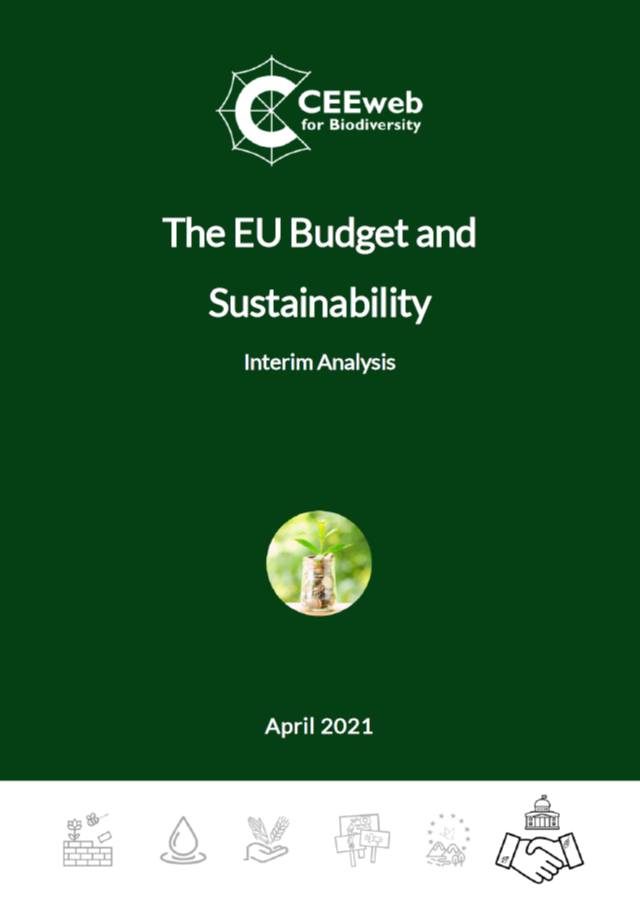 The 2021-27 EU Budget and Sustainability