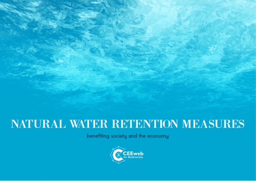 Natural Water Retention Measures