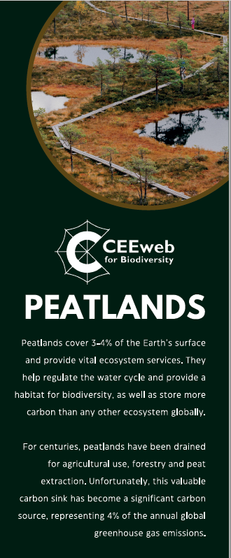 Peatlands brochure