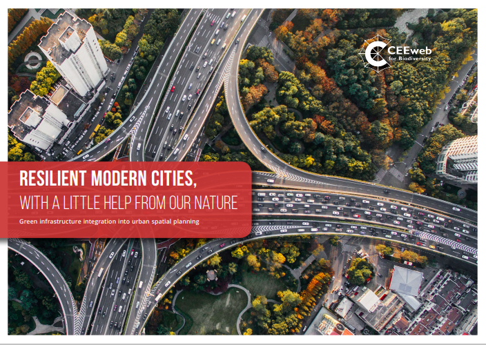 Resilient Modern Cities, with a little help from our Nature