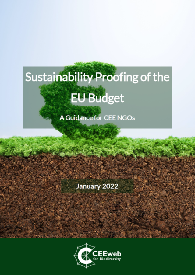 Sustainability Proofing of the EU Budget